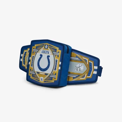 NFL WWE 쿨러 패니 팩