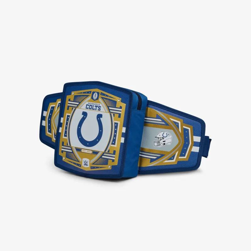 NFL WWE 쿨러 패니 팩