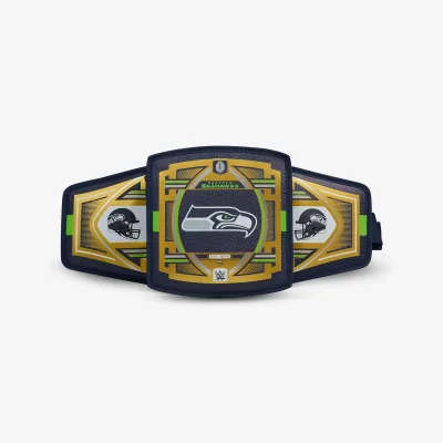 NFL WWE 쿨러 패니 팩