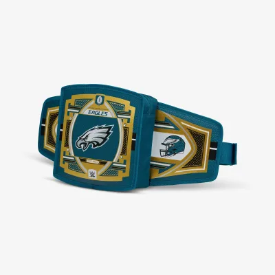 NFL WWE 쿨러 패니 팩