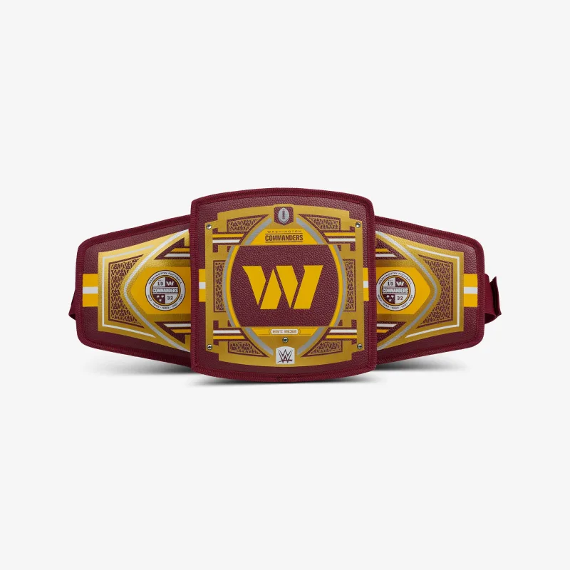 NFL WWE 쿨러 패니 팩