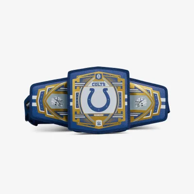 NFL WWE 쿨러 패니 팩