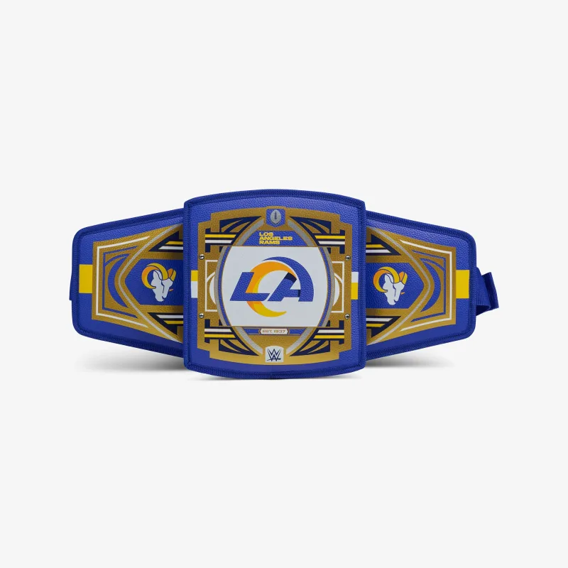 NFL WWE 쿨러 패니 팩