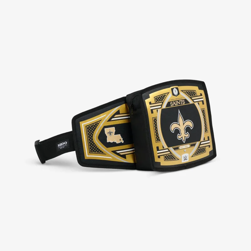 NFL WWE 쿨러 패니 팩