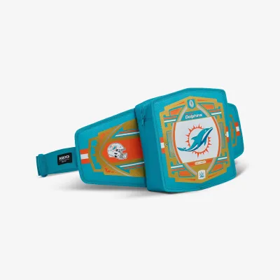 NFL WWE 쿨러 패니 팩