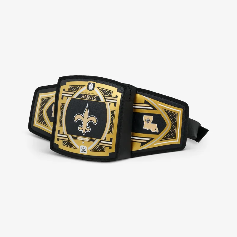 NFL WWE 쿨러 패니 팩