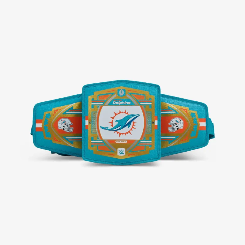 NFL WWE 쿨러 패니 팩