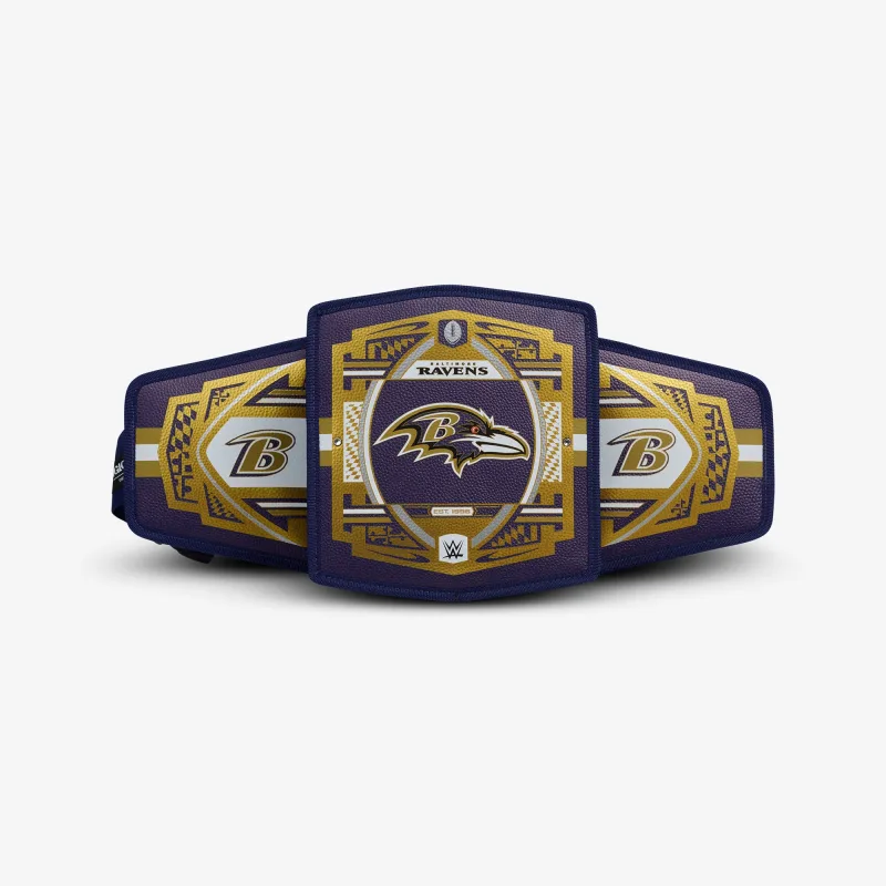 NFL WWE 쿨러 패니 팩