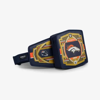 NFL WWE 쿨러 패니 팩