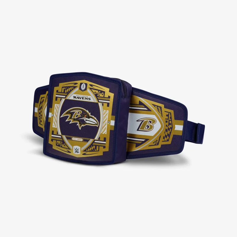 NFL WWE 쿨러 패니 팩