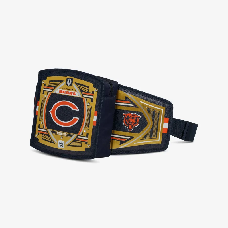 NFL WWE 쿨러 패니 팩