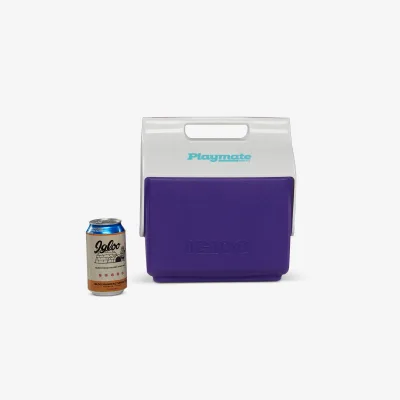 Retro Little Playmate 7 Qt Cooler