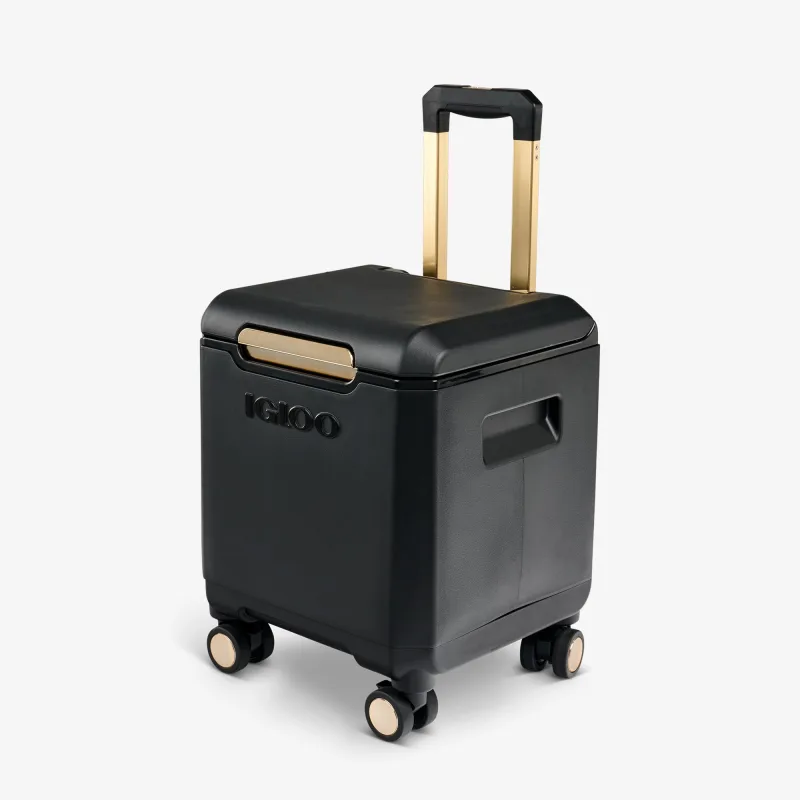 Tag Along Too Spinner Cooler