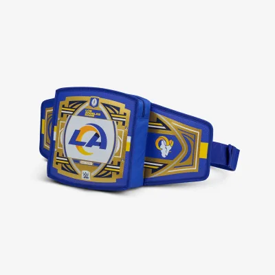 NFL WWE 쿨러 패니 팩
