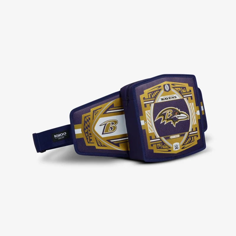 NFL WWE 쿨러 패니 팩
