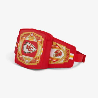 NFL WWE 쿨러 패니 팩