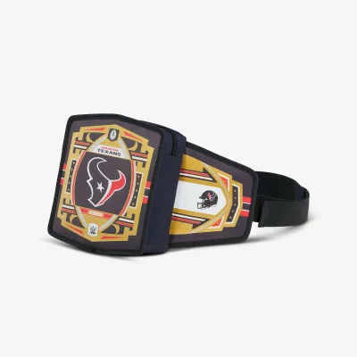 NFL WWE 쿨러 패니 팩