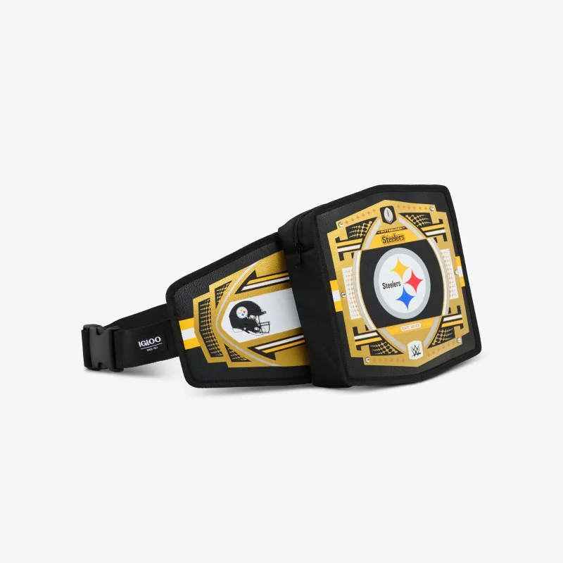 NFL WWE 쿨러 패니 팩