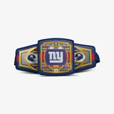 NFL WWE 쿨러 패니 팩