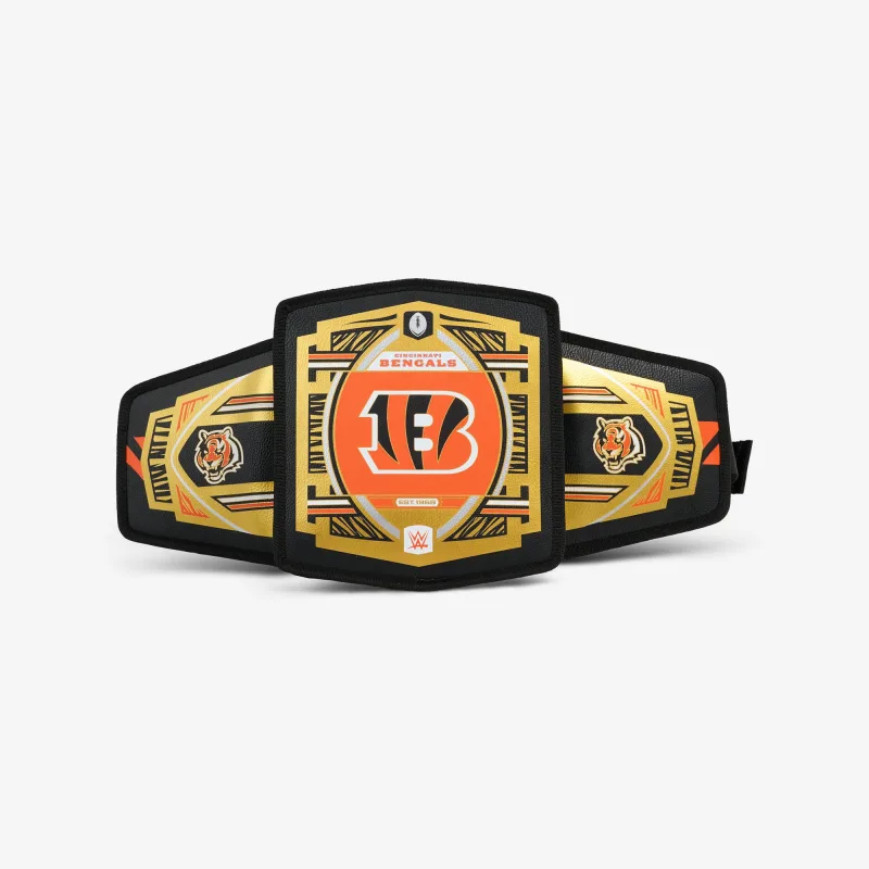 NFL WWE 쿨러 패니 팩