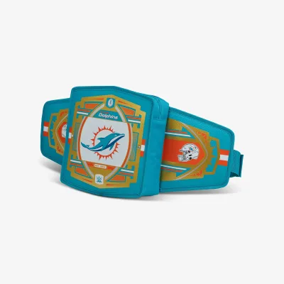 NFL WWE 쿨러 패니 팩