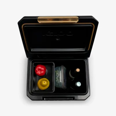 Tag Along Too Spinner Cooler