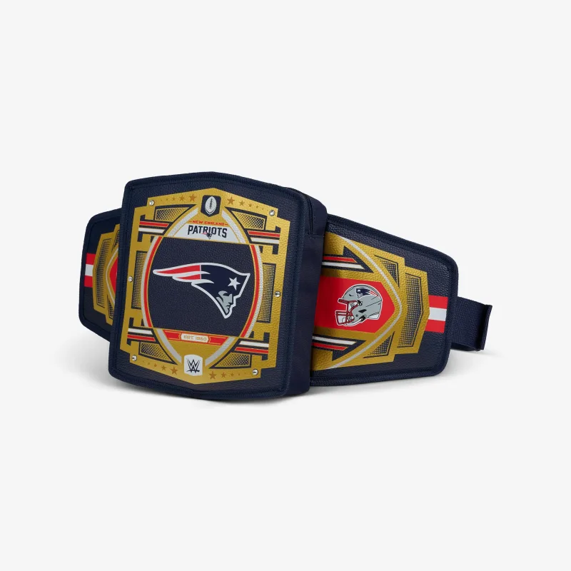 NFL WWE 쿨러 패니 팩