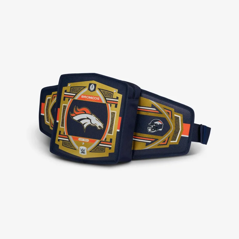 NFL WWE 쿨러 패니 팩