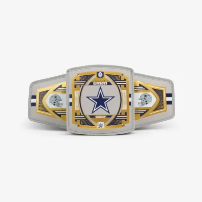 NFL WWE 쿨러 패니 팩