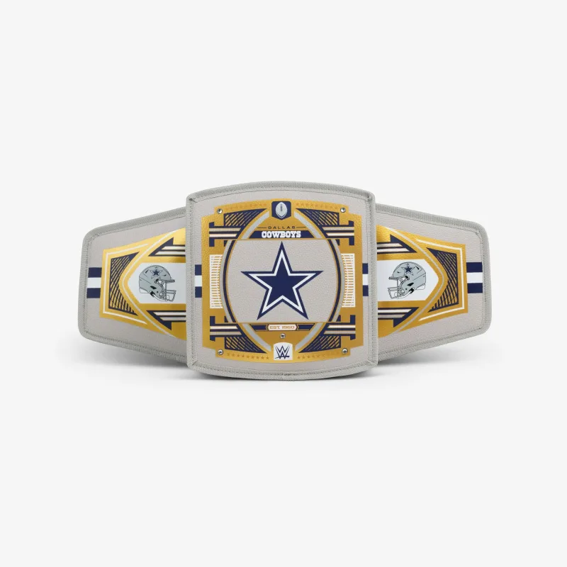 NFL WWE 쿨러 패니 팩