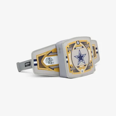 NFL WWE 쿨러 패니 팩