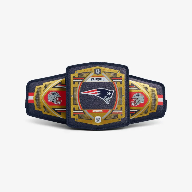 NFL WWE 쿨러 패니 팩