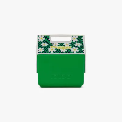 Snoopy and Star Wars Coolers That Actually Keep Lunch Cold