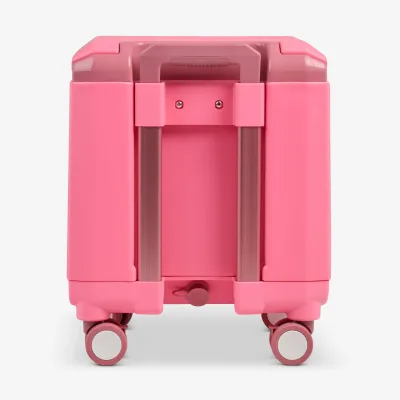 Tag Along Too Spinner Cooler