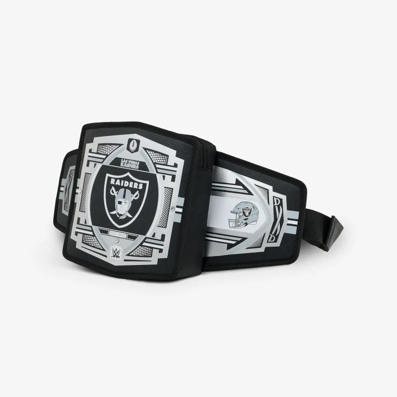 NFL WWE 쿨러 패니 팩
