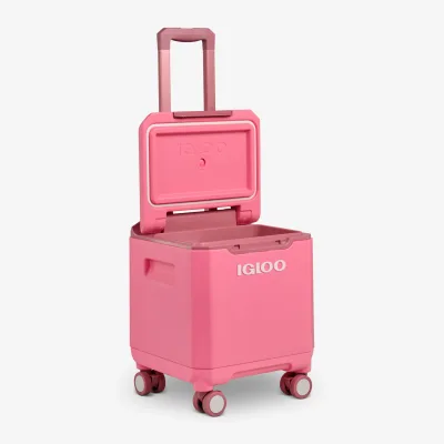 Tag Along Too Spinner Cooler