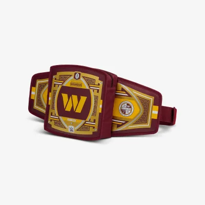 NFL WWE 쿨러 패니 팩