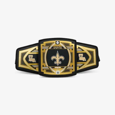 NFL WWE 쿨러 패니 팩