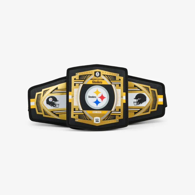 NFL WWE 쿨러 패니 팩