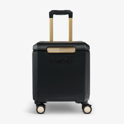 Tag Along Too Spinner Cooler