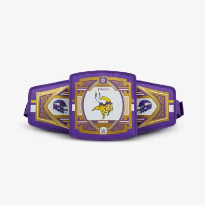 NFL WWE 쿨러 패니 팩