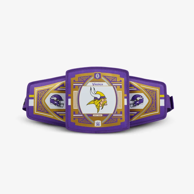 NFL WWE 쿨러 패니 팩