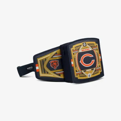 NFL WWE 쿨러 패니 팩