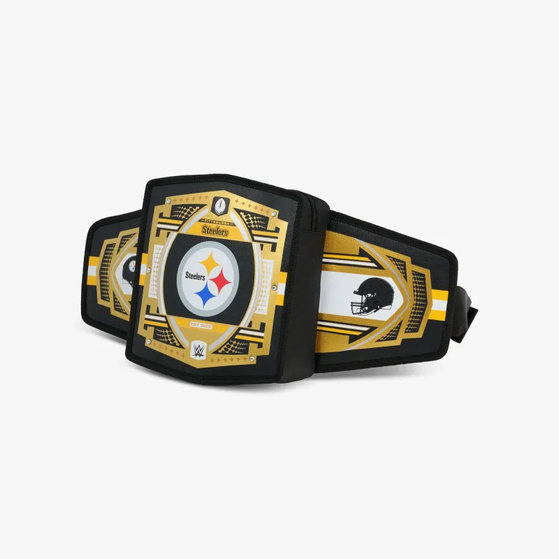 NFL WWE 쿨러 패니 팩