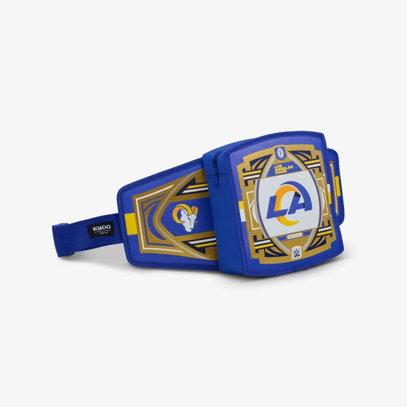 NFL WWE 쿨러 패니 팩