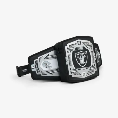 NFL WWE 쿨러 패니 팩