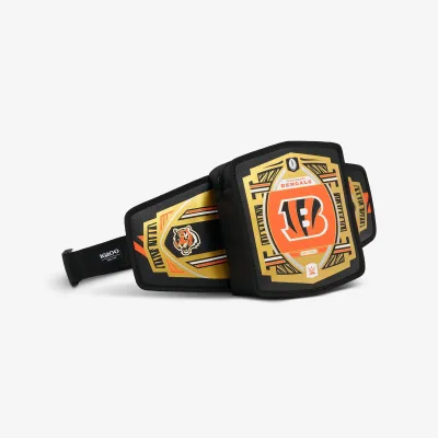 NFL WWE 쿨러 패니 팩